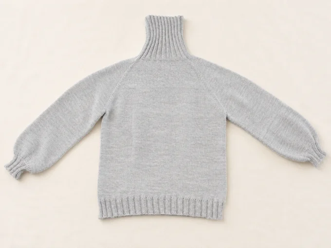 Mise en situation IA du dos du pull femme gris à col roulé.